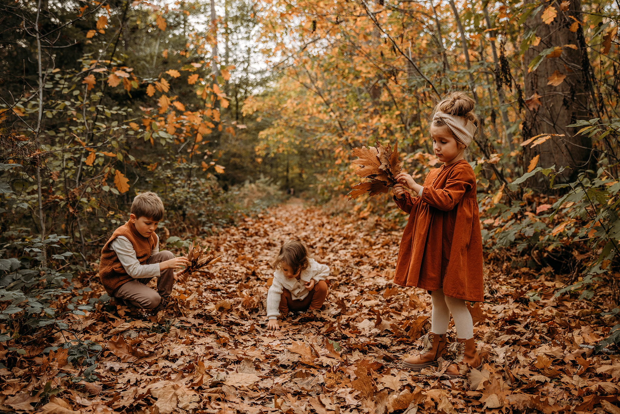 Les séances d’automne sont ouvertes !